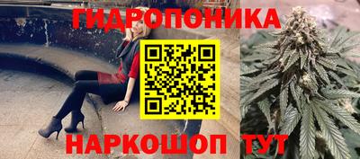 МДПВ Будённовск